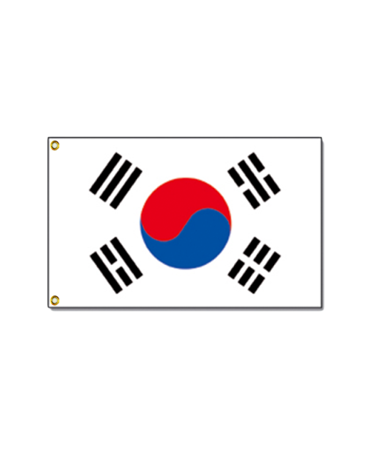 Flagge Südkorea ca.150 x 84cm 