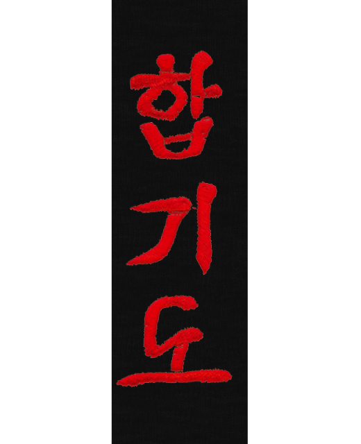 Stil Bestickung HAPKIDO in koreanischen Schriftzeichen ca. 10 x 3cm auf Gürtel oder Textil 
