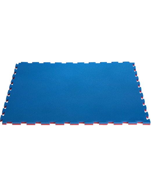 ProGame TKD Wettkampfmatte ITF APPROVED rot/blau 1x1m x22mm 
