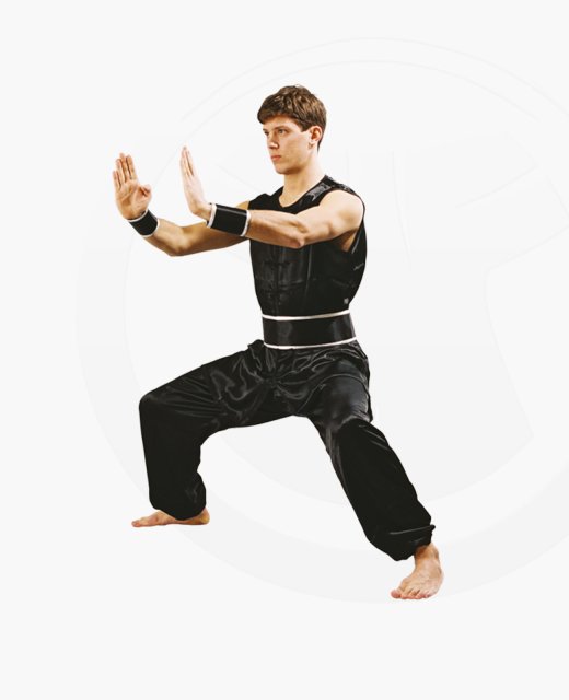 Süd Shaolin Kung Fu Wushu Anzug schwarz Satin 