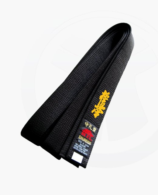 Stil Bestickung KYOKUSHIN in japanischen Schriftzeichen ca. 10 x 3cm auf Gürtel oder Textil 